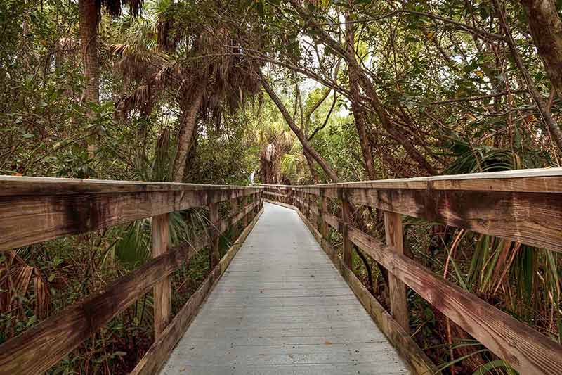 things to do in fort myers today Boardwalk that extend through the park