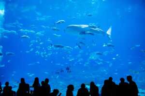 20 Things To Do In Gulfport Mississippi In 2026