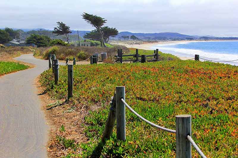 things to do in half moon bay area