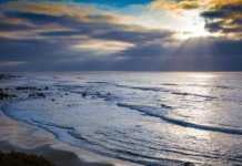 20 Things To Do In Half Moon Bay for Coastal Views, Foodies & Nature Lovers things to do in half moon bay calif