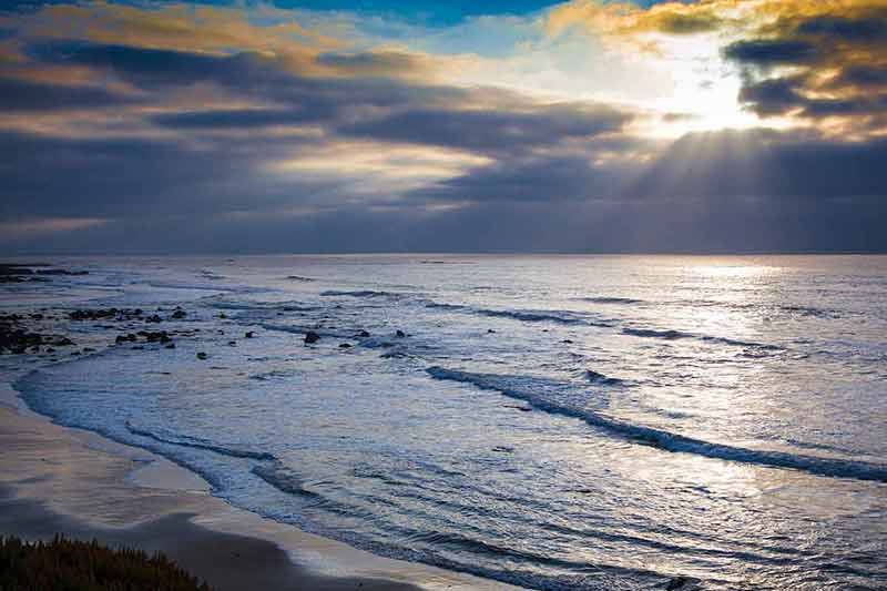things to do in half moon bay calif