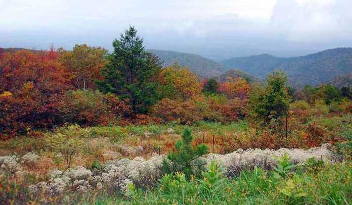Craigslist Harrisonburg Va Top 10 Items You Need To See - as6eipg