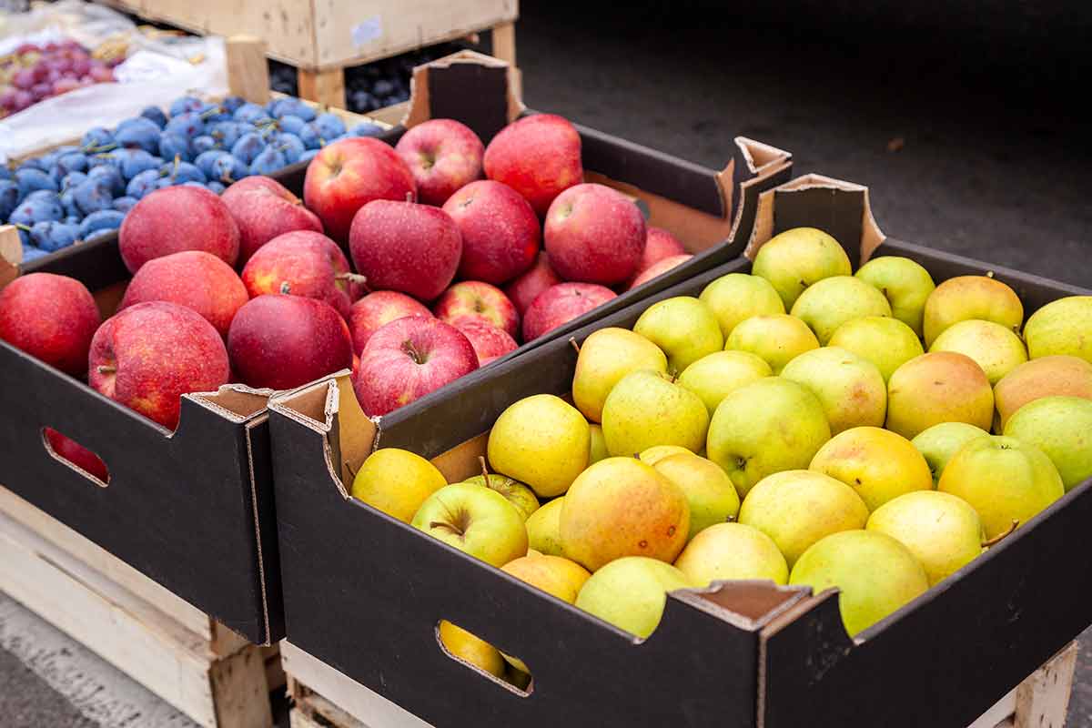 things to do in hoboken n.j apples, pears and blueberries in boxes
