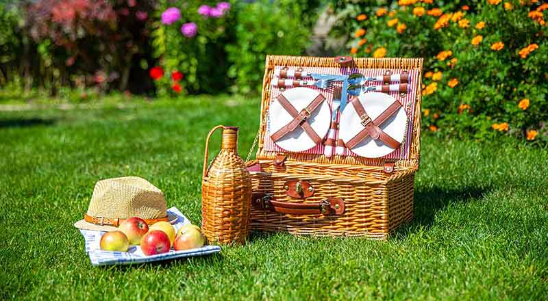 things to do in idaho falls in summer Picnic basket with food on green sunny lawn.