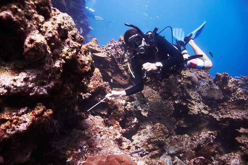 things to do in ixtapa mx Young man Scuba diving over a beautiful reef