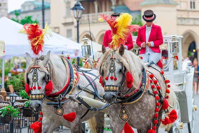 things to do in krakow lesser poland two horses and riders in red jackets
