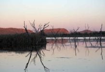Why Kununurra Is Australia’s Most Underrated Adventure Destination things to do in kununurra