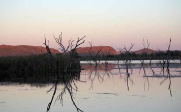 Why Kununurra Is Australia’s Most Underrated Adventure Destination things to do in kununurra