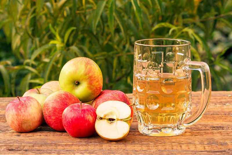 things to do in lexington today Glass goblet of apple cider