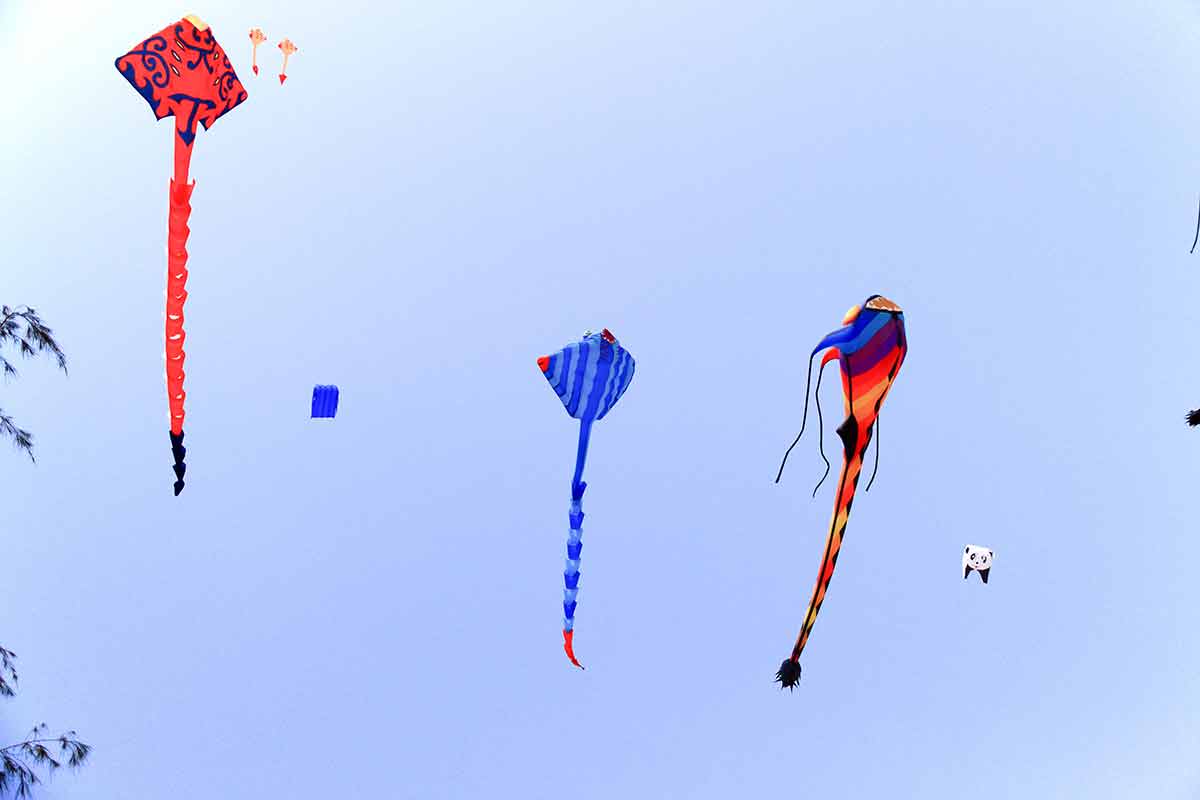 things to do in lincoln city with toddlers Colourful kite in the blue sky at the summer holidays time