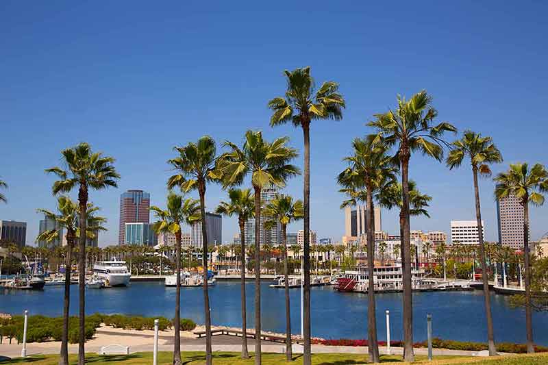 things to do in long beach from palm trees of port