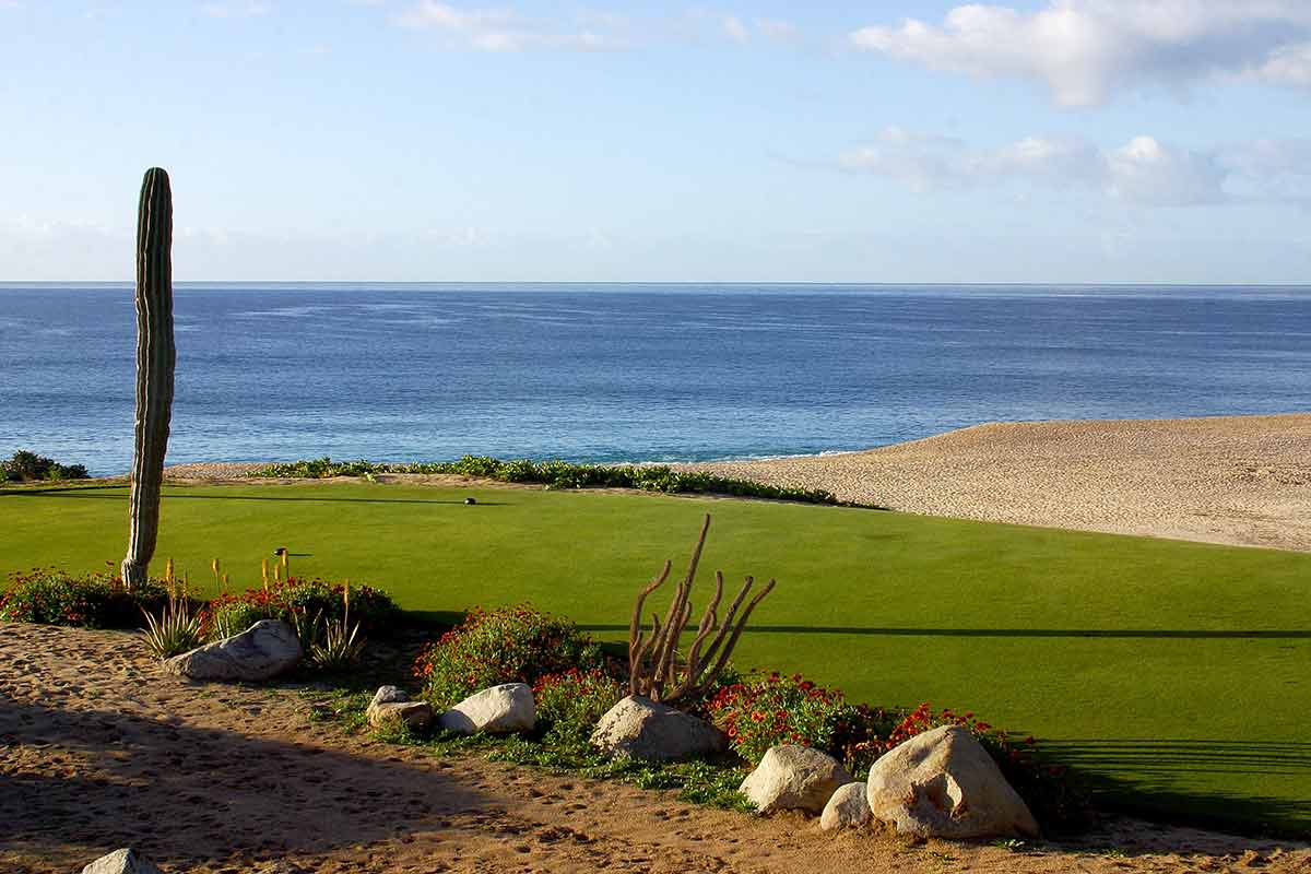 things to do in los cabos golf