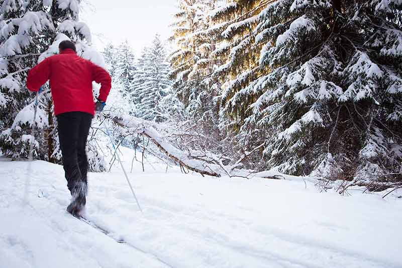 Cross-Country Skiing: Young Man Cross-Country Skiing