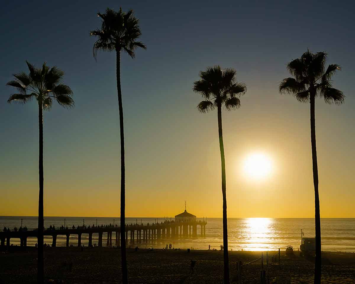 things to do in manhattan beach california golden sunset with pier and palms in silhouette