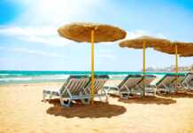 beach chairs and thatched umbrellas facing the sea