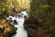 20 Things To Do In Medford, Oregon That Make It a Perfect Base for Adventure things to do in medford oregon