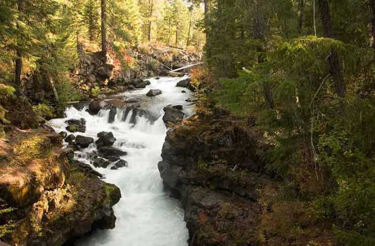 20 Things To Do In Medford, Oregon That Make It a Perfect Base for Adventure things to do in medford oregon