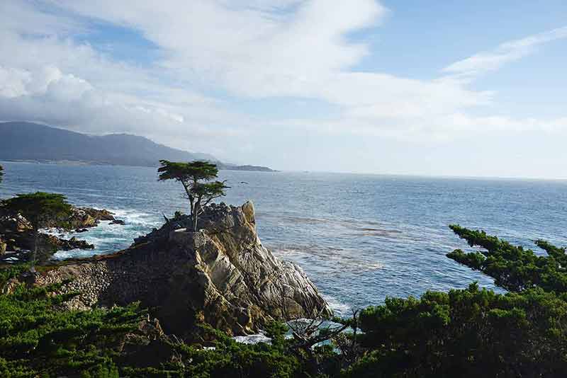 things to do in monterey today