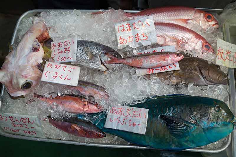 Fish On Ice For Sale In Okinawa, Japan