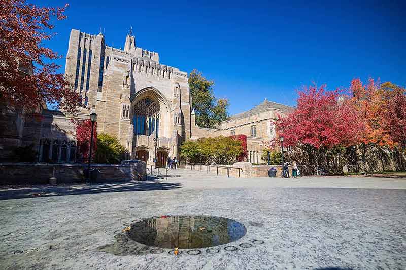things to do in new haven connecticut autumn leaves in yale