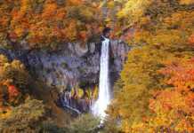20 things to do in Nikko that feel like stepping into a dream Kegon Falls In Autumn Season ,Nikko ,Japan
