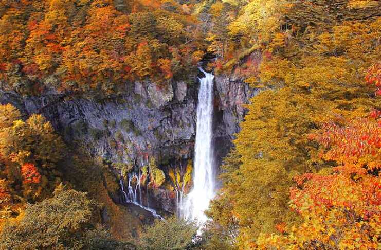 20 things to do in Nikko that feel like stepping into a dream Kegon Falls In Autumn Season ,Nikko ,Japan