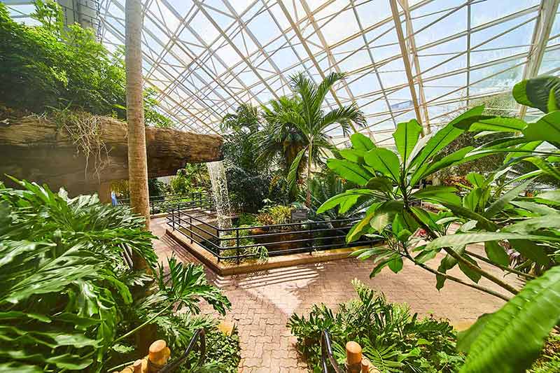 things to do in oklahoma city this weekend Image of Rainforest gardens in greenhouse with waterfall and walking path.