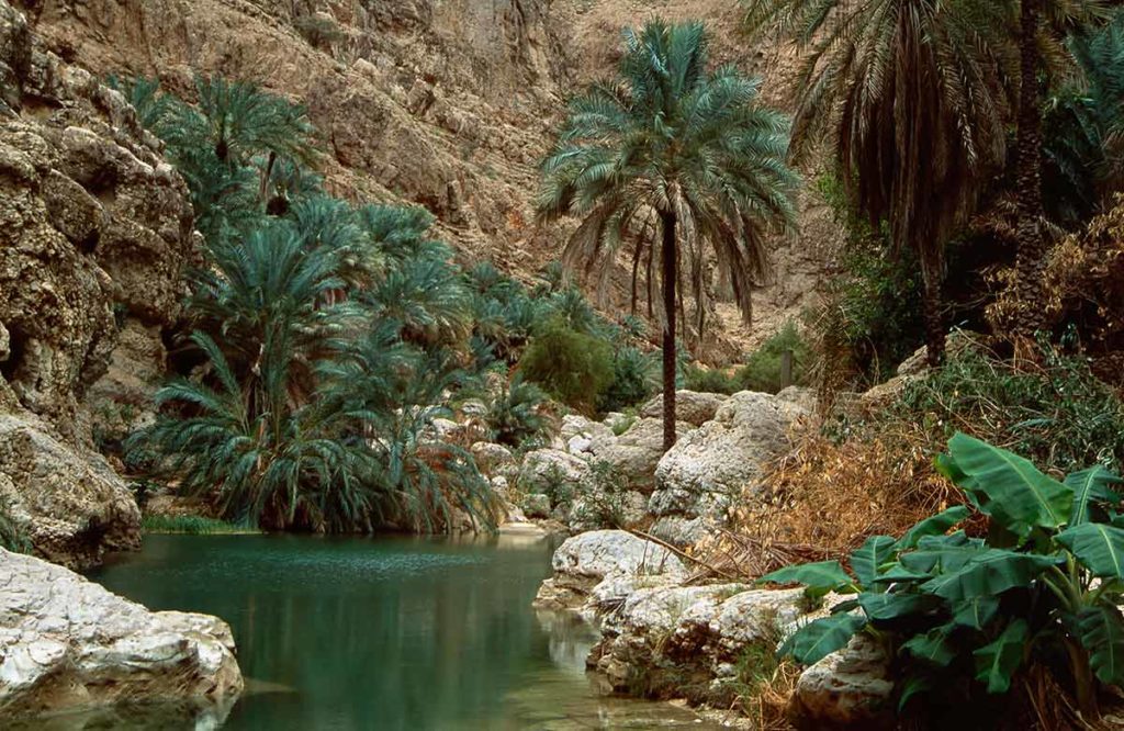 things to do in oman