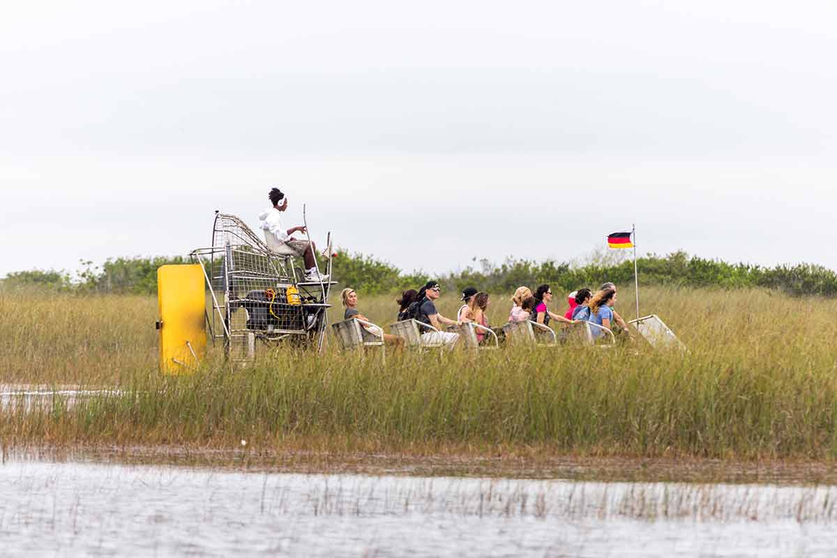 Airboat Tour At Mangrove Forest In Everglades Swamp