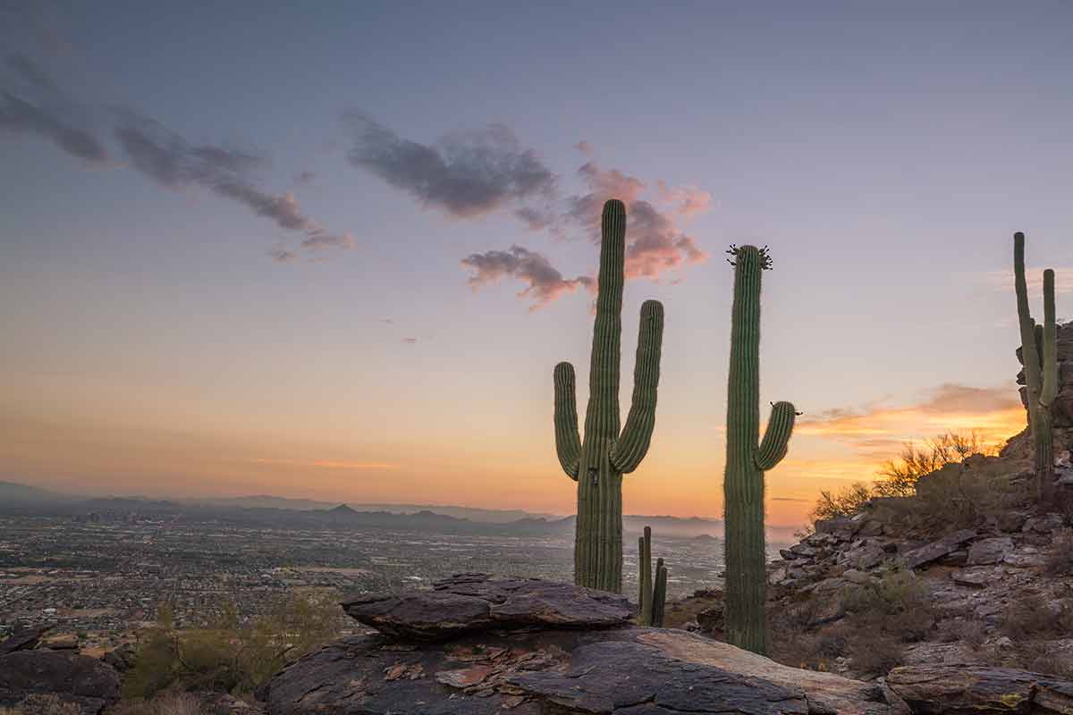 things to do in phoenix at night free