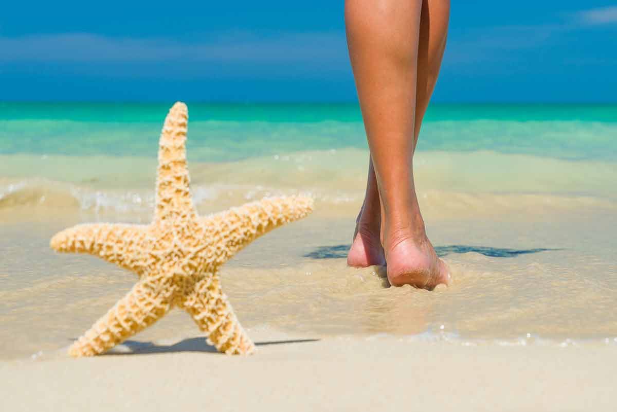 Feet On The Wet Sand With A Starfish