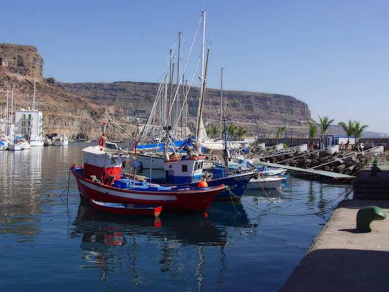 things to do in puerto rico gran canaria colourful fishing boats