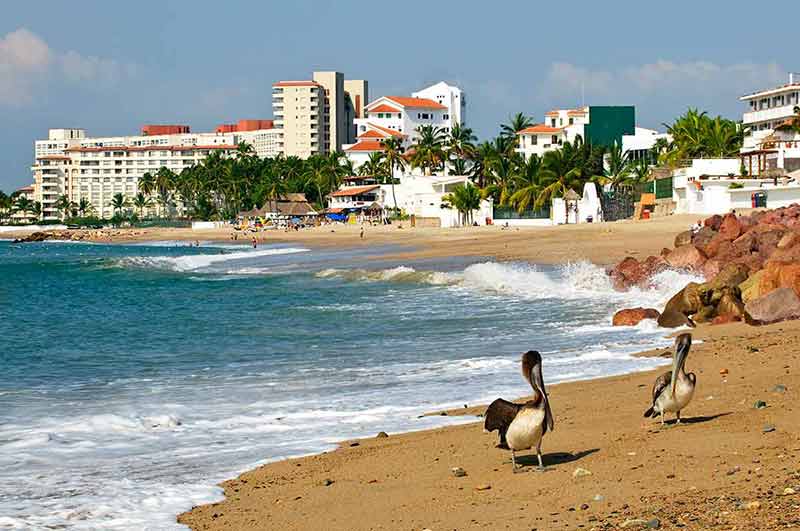 things to do in puerto vallarta with kids