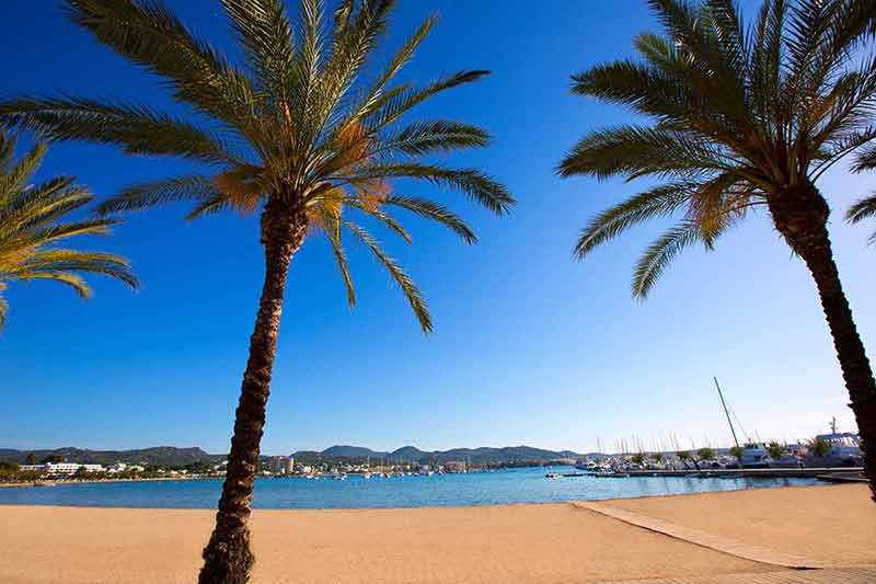 S'Arenal Beach in Ibiza with palm trees and marina