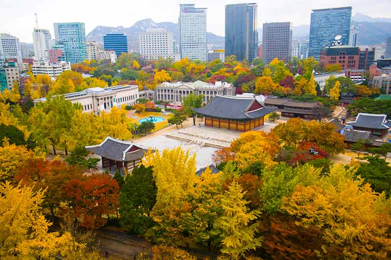 things to do in seoul in autumn leaves at Deoksugung Palace