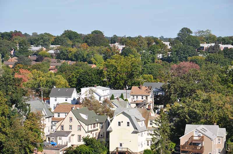 stamford residential area with lots of trees and charming houses