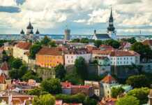 Panoramic View Of Old Town Tallinn