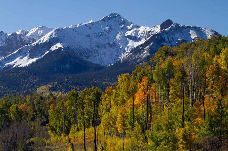 Jagged Peaks And Fall Colors Of The San Juan Mountains