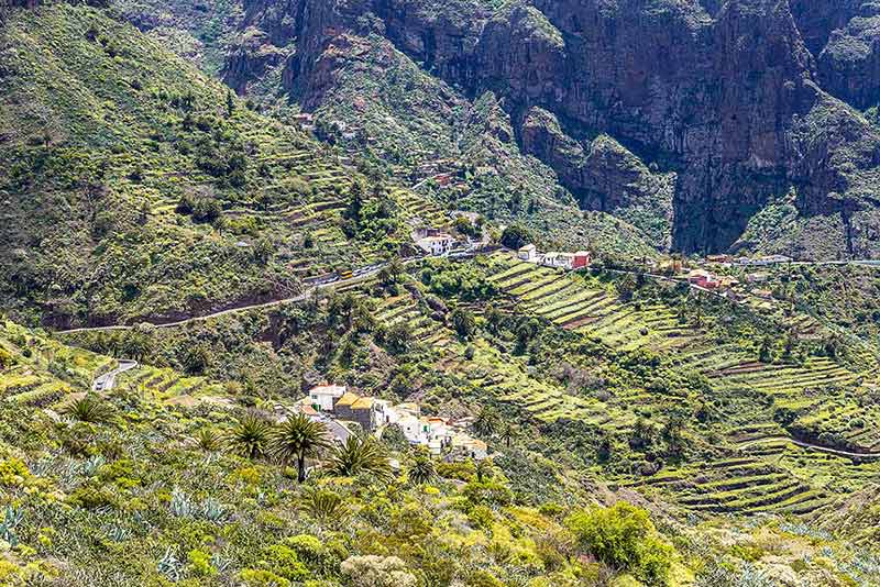 things to do in tenerife south