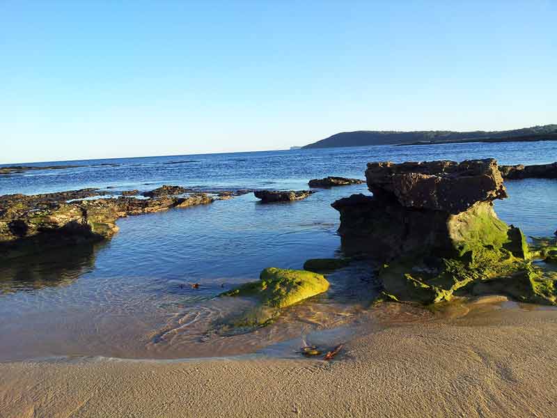 things to do in the central coast toowoon bay
