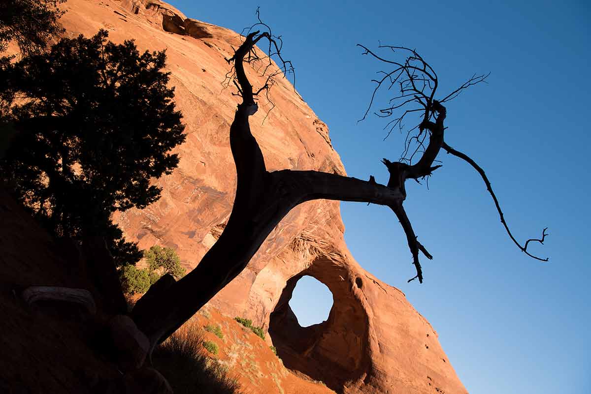 things to do in the monument valley area