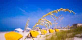 things to do in treasure island florida this weekend Sea Oats frame the sand on Madiera Beach with yellow sun shades
