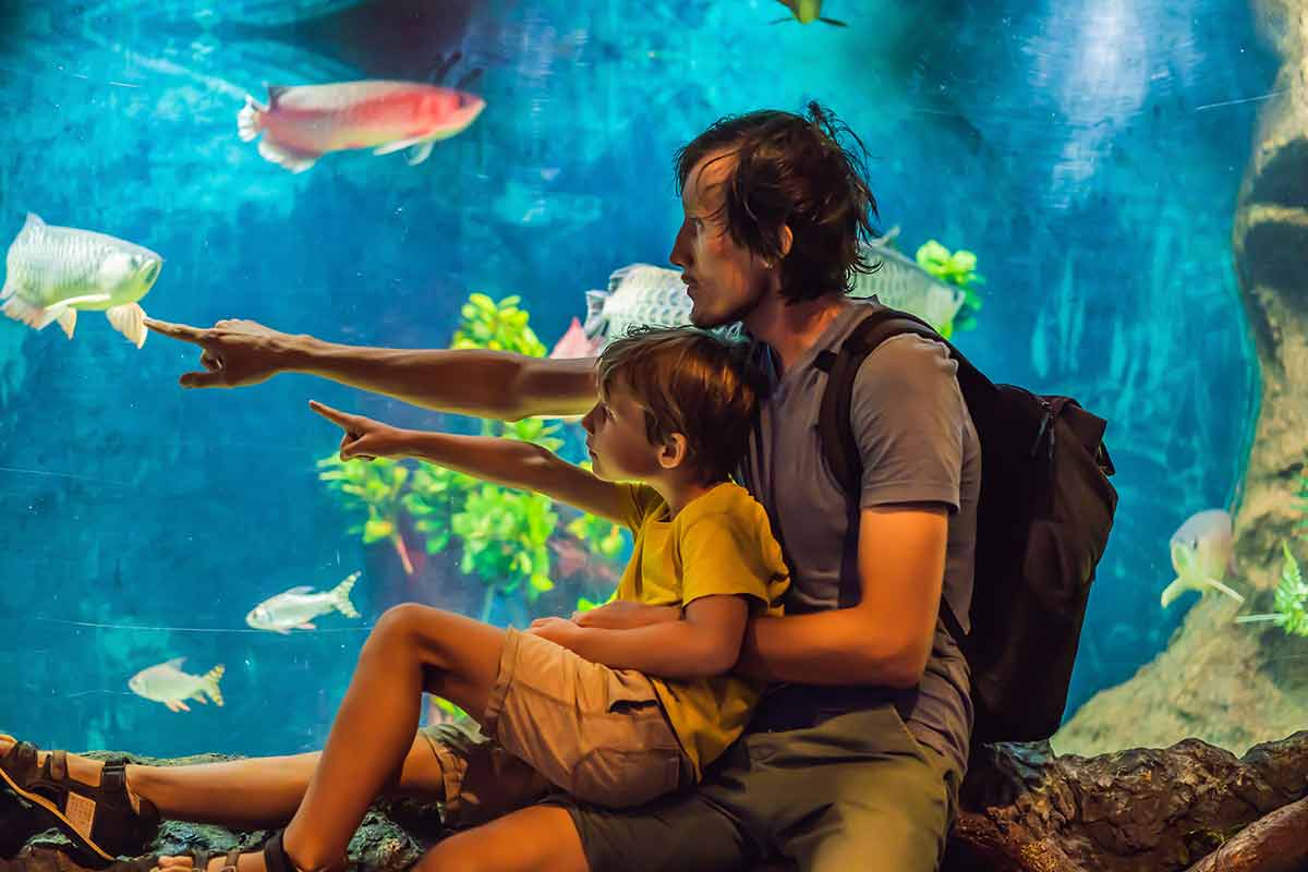 things to do in virginia beach with kids Father and son look at the fish in the aquarium in oceanarium.