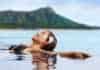 20 Things To Do In Waikiki That Aren’t Just Lying on the Beach things to do in waikiki hawaii Hawaii vacation wellness pool spa woman relaxing in warm water at luxury hotel resort.