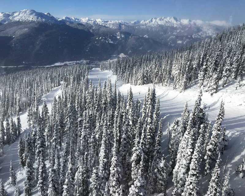 things to do in whistler