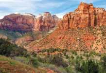 20 Things To Do In Zion National Park You’ll Never Forget things to do in zion national park