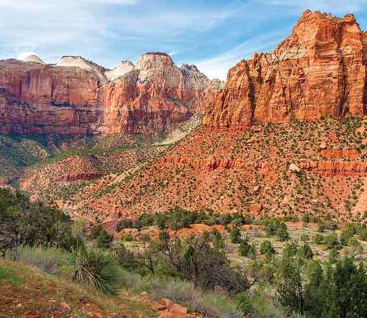 things to do in zion national park