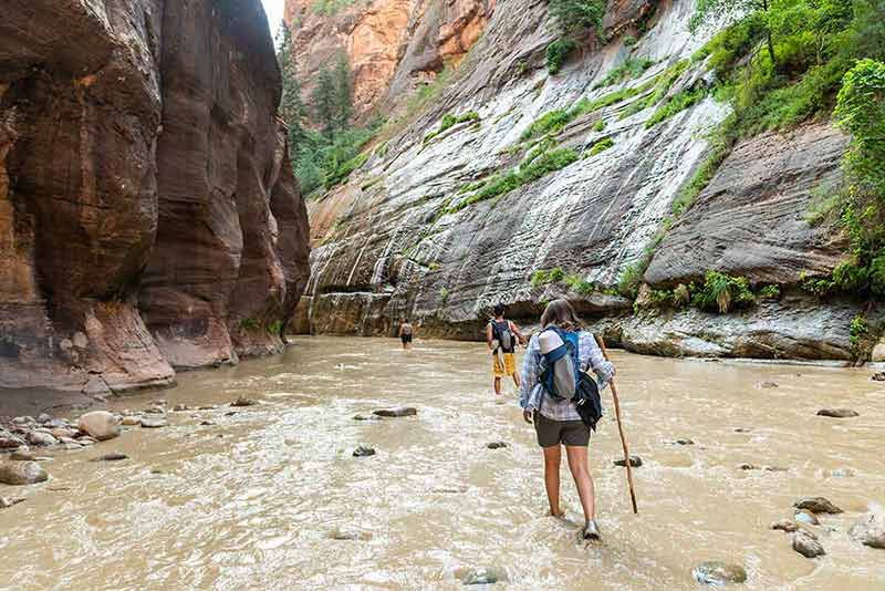 things to do in zion national park besides hiking