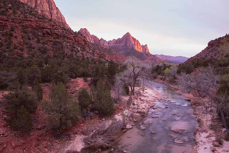 things to do in zion national park in july