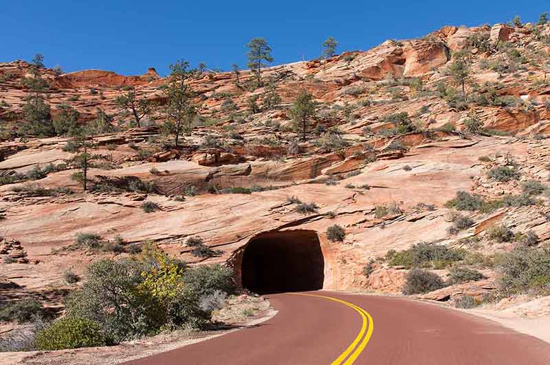 things to do in zion national park in march